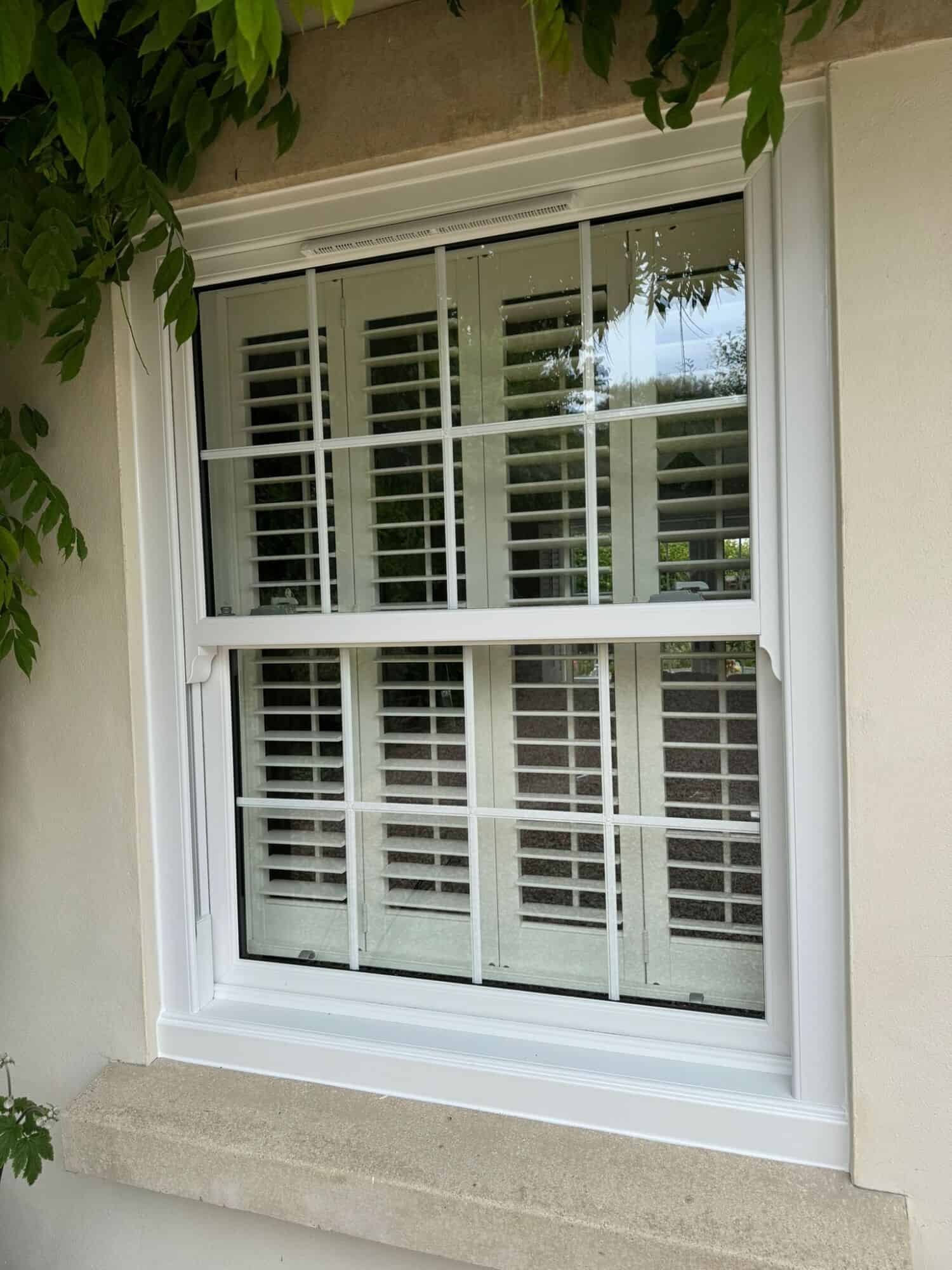 Comparing Energy-Efficient Windows: Which is Best for Your Budget?